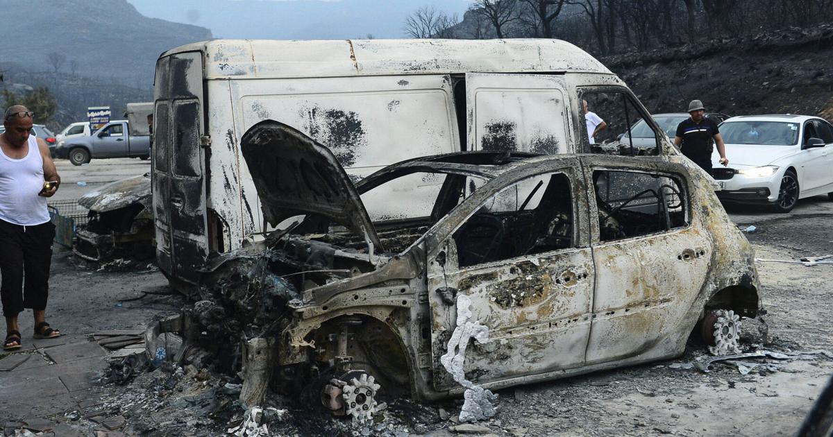 Algeria looks to recover as deadly wildfires subside