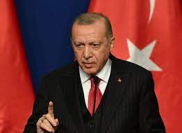 Erdogan says Turkey will advance Sweden’s NATO bid
