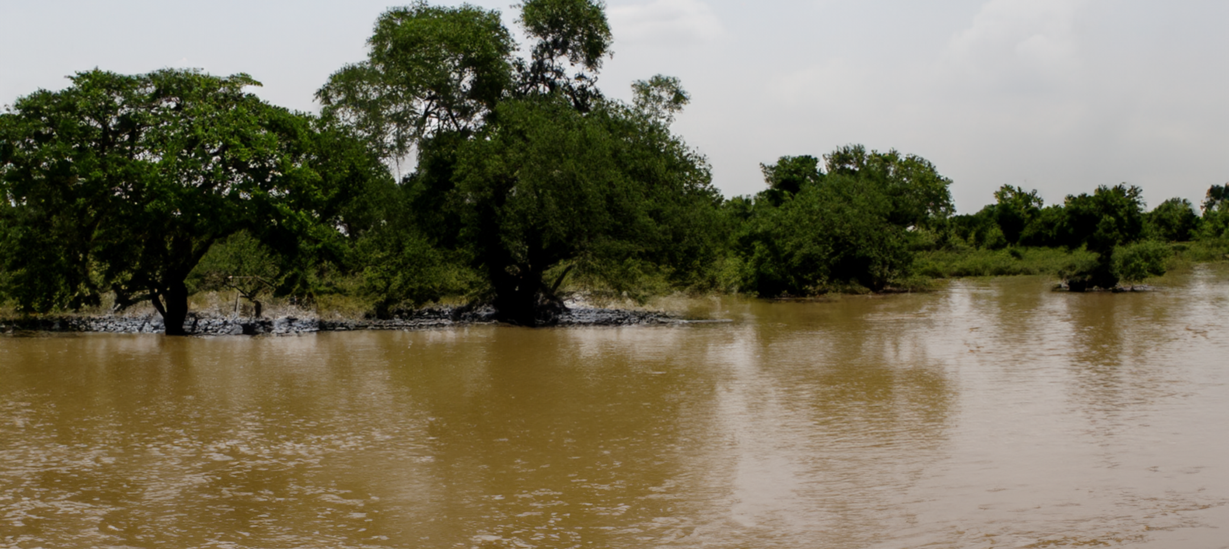 Heavy rains cause deadly flash floods in Adamawa, Nigeria