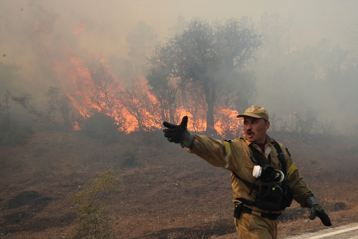 Wildfire in Greece’s Evros region declared biggest in 20 years