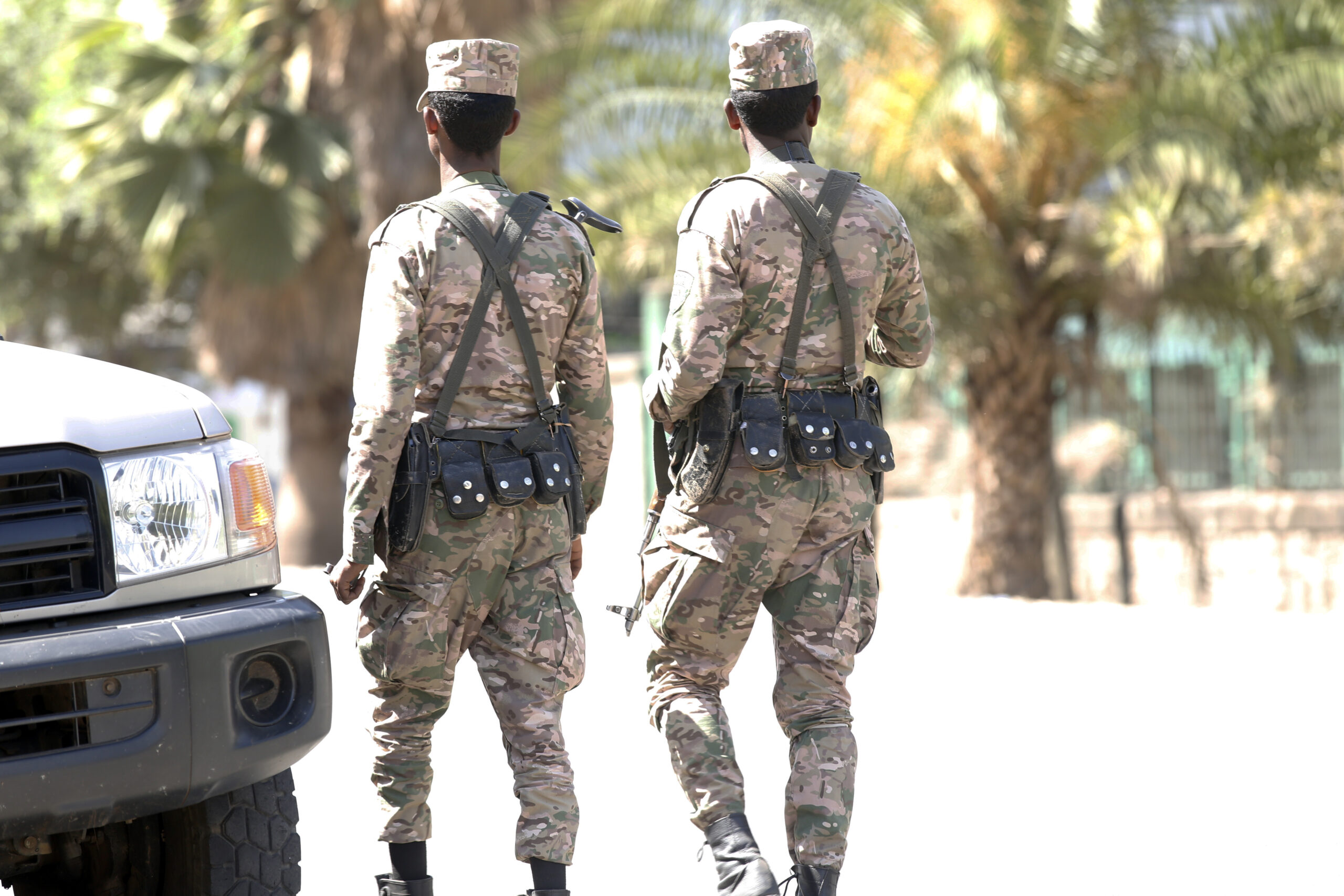 Amnesty urges Ethiopia to allow human rights violations investigation