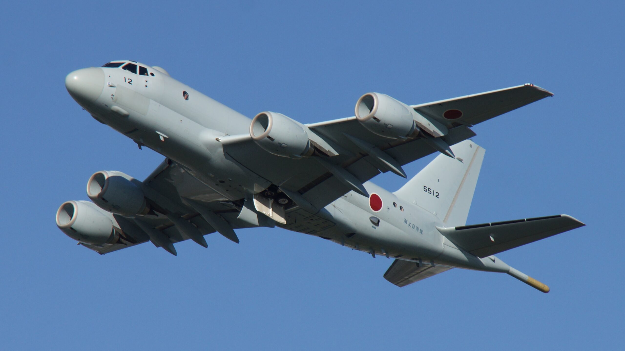 Japan evacuates citizens from Niger following coup