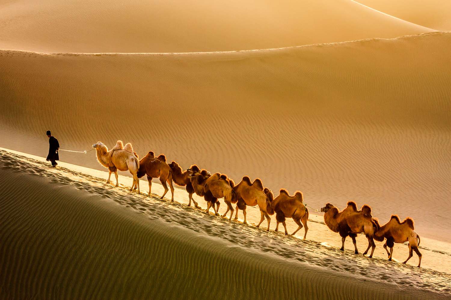 Sudan’s Silk Road