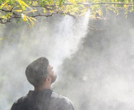 France recorded nearly 400 excess deaths during heat wave