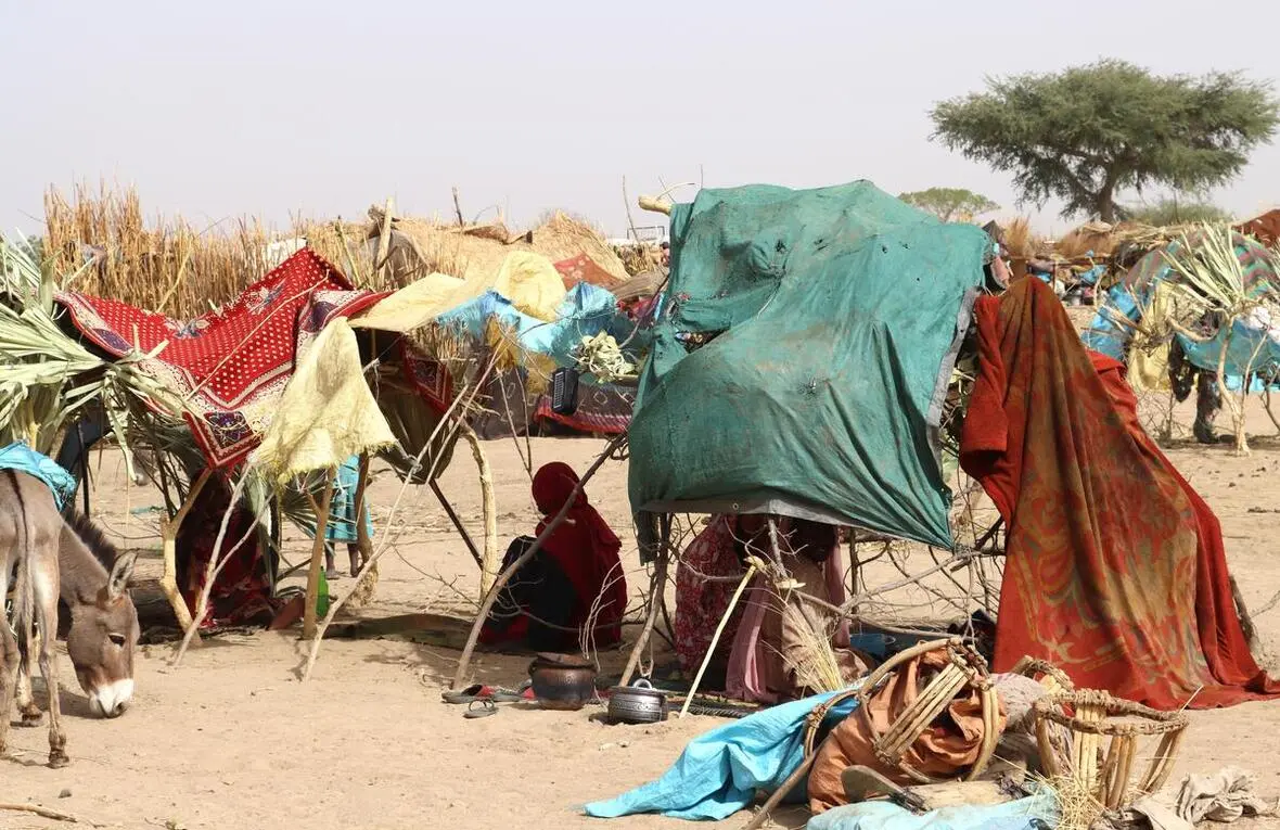 Fatalities rise among Sudanese refugees in Chad due to lack of water, food