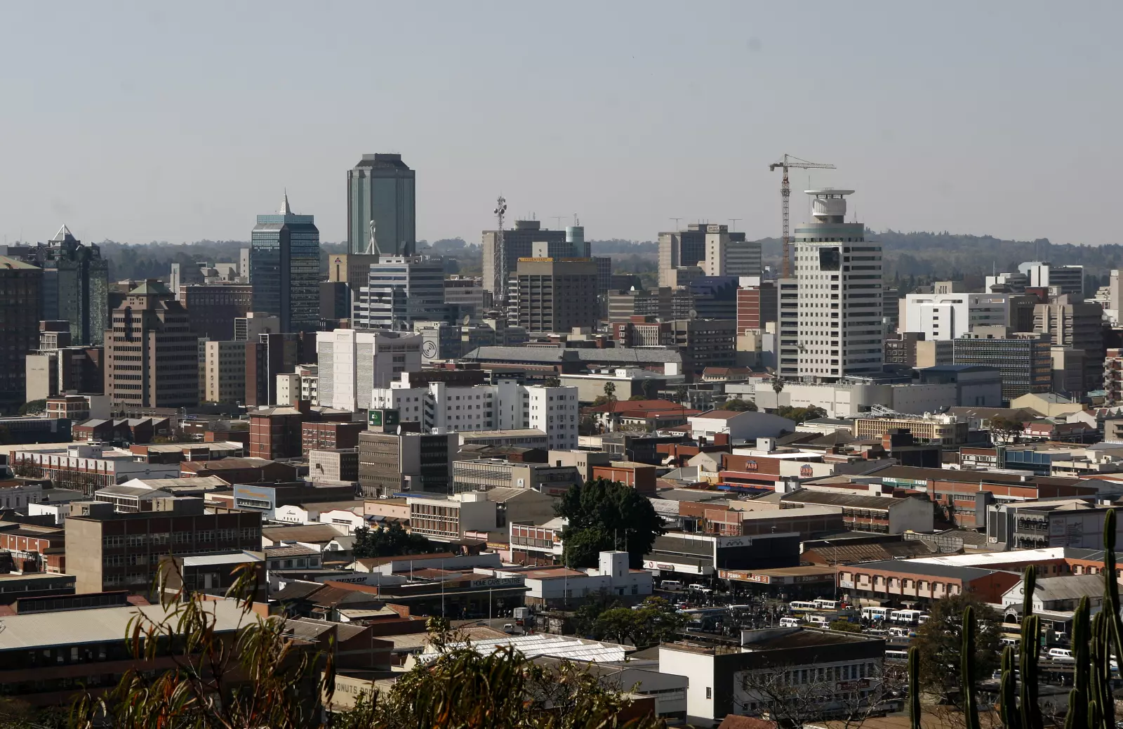 Opposition activist abducted, found dead in Zimbabwe amid election tensions