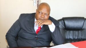 Zimbabwe opposition accuses government of coup plan