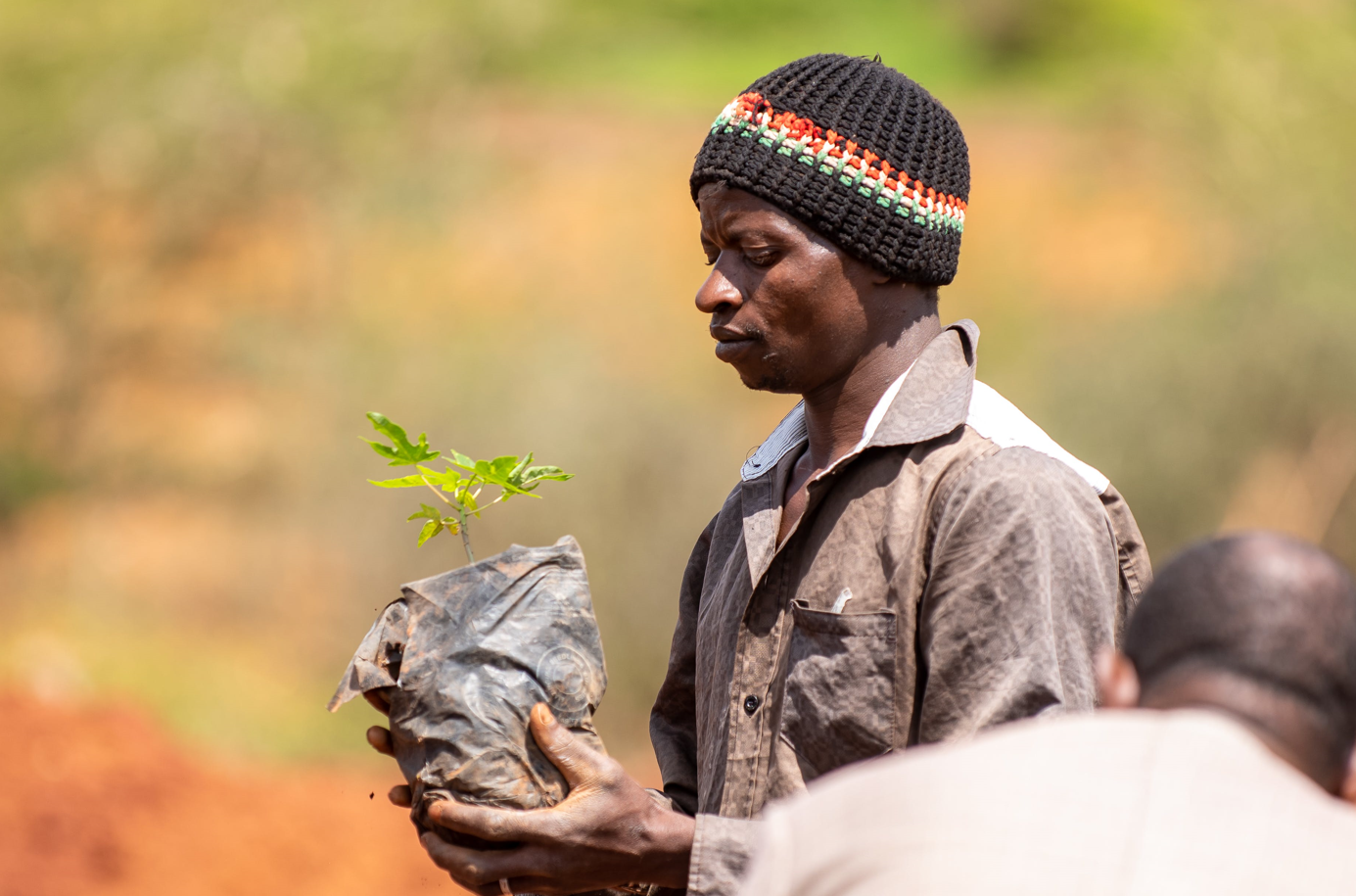 Kenya declares holiday for massive tree planting campaign