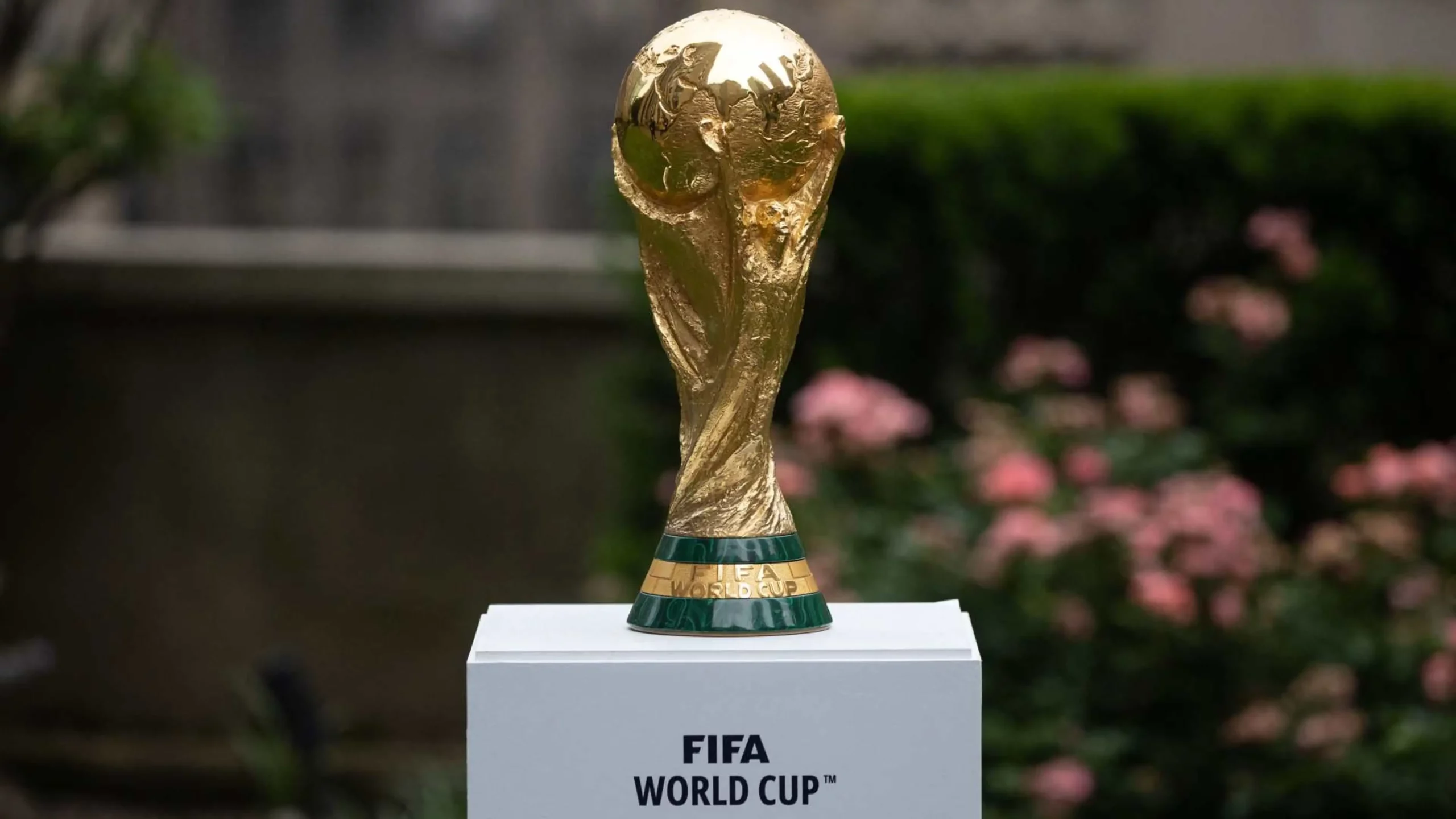 Saudi Arabia sole bidder to host World Cup 2034: FIFA