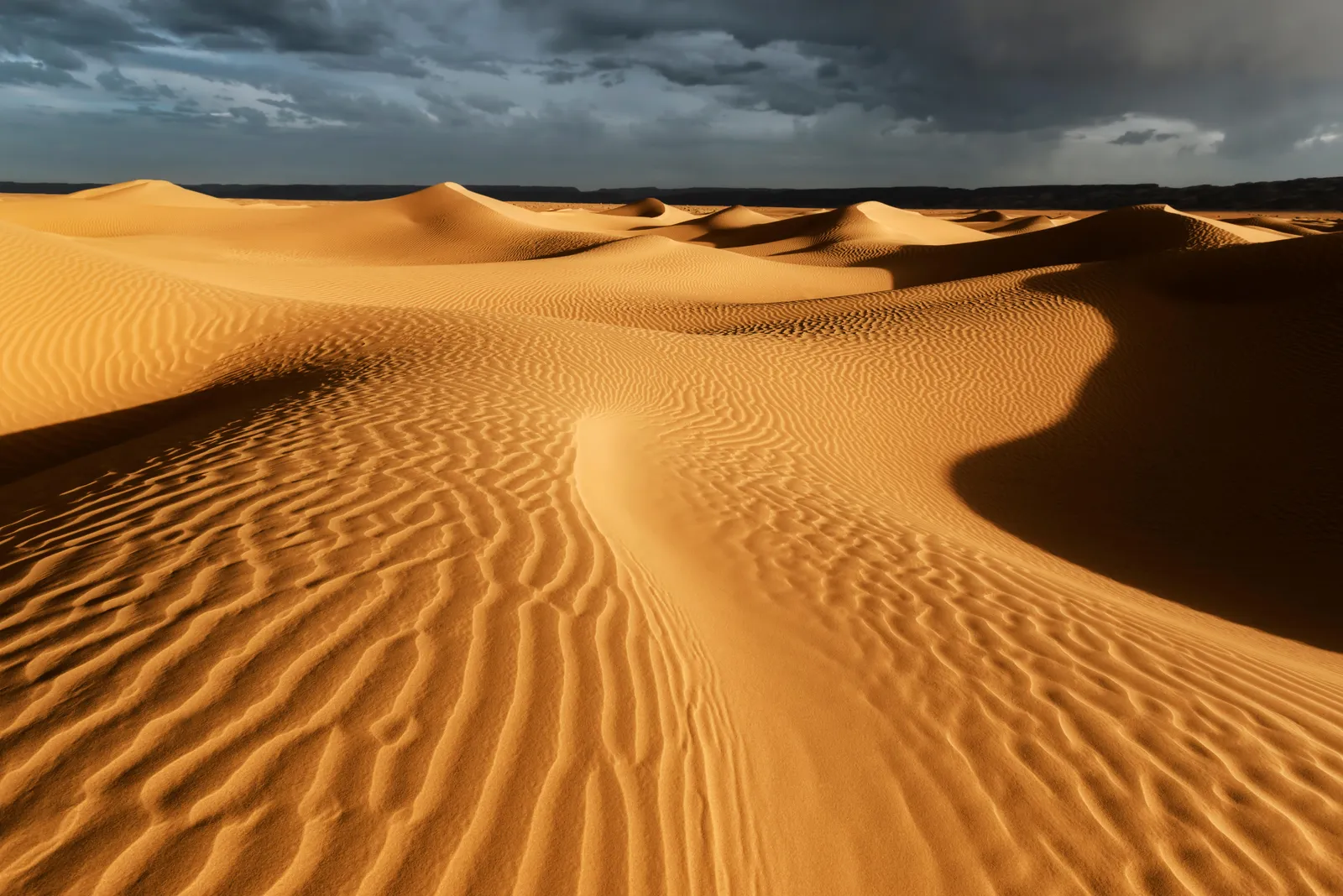 The enigmatic Sahara Desert