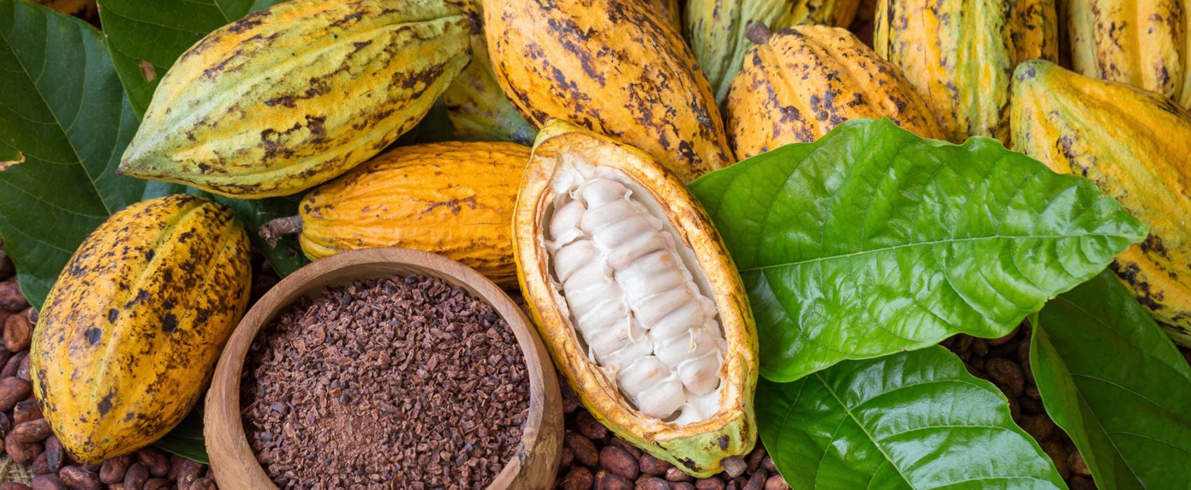 Disease, smuggling cut Ghana’s cocoa output