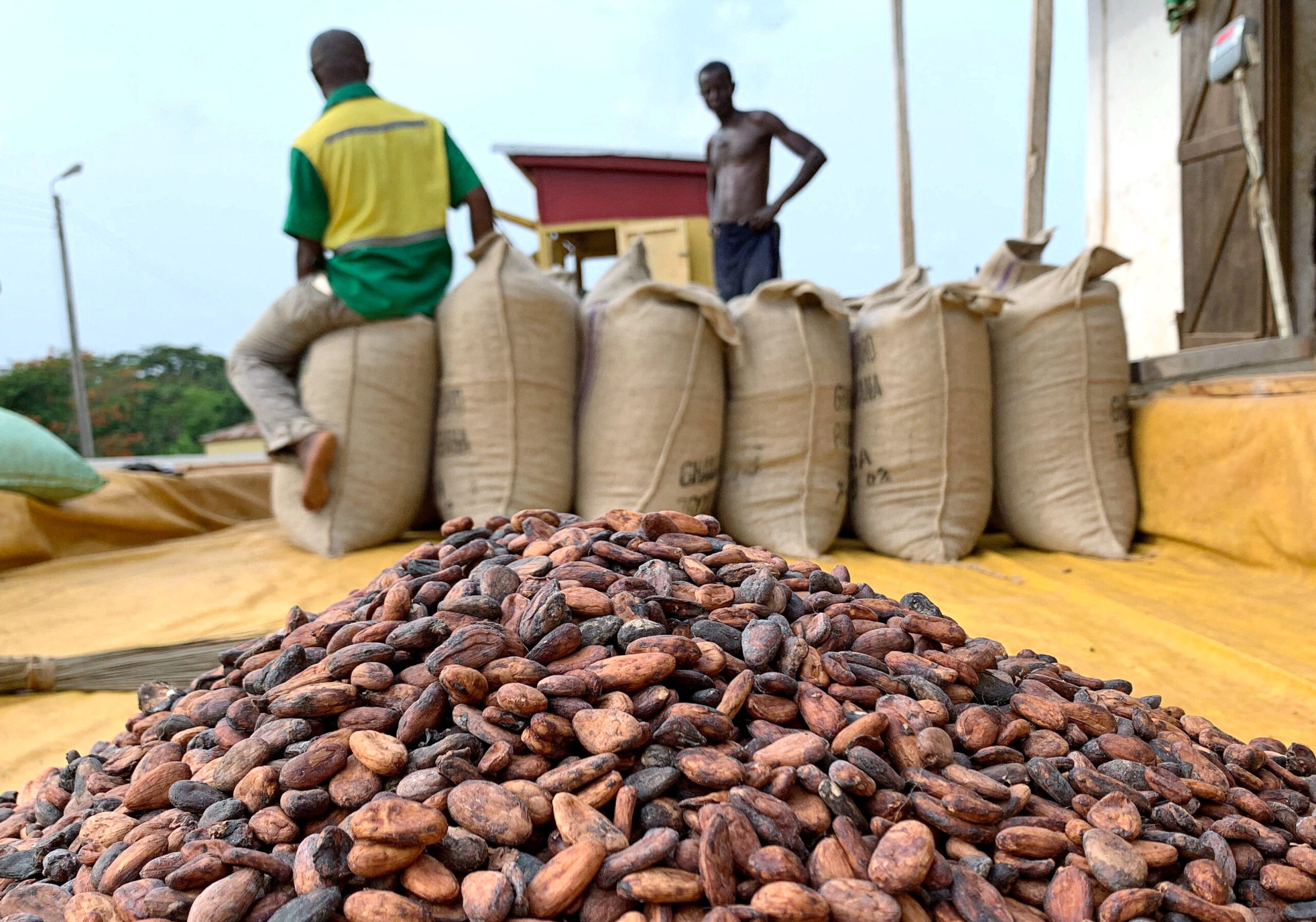 Ghana to hike cocoa farmgate price by 50 pct