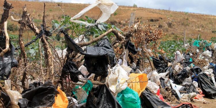 Kenya bans use of plastic bags for organic waste