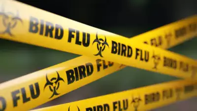 WHO confirms 1st human death from new bird flu strain