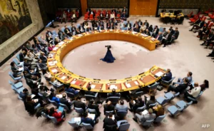 Eleven African nations join global push to curb UN veto power