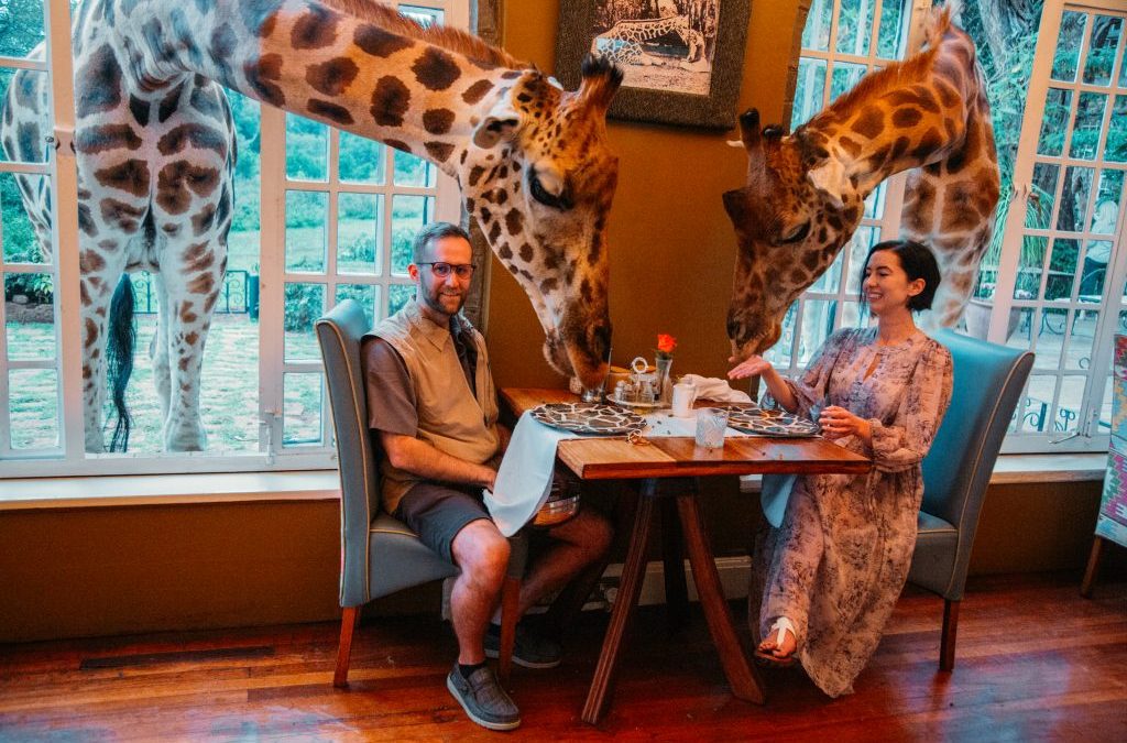 Wake up to giraffes and sunsets in Kenya’s treehouse hotels