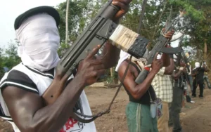 Terrified Nigerian farming communities flee after school raids