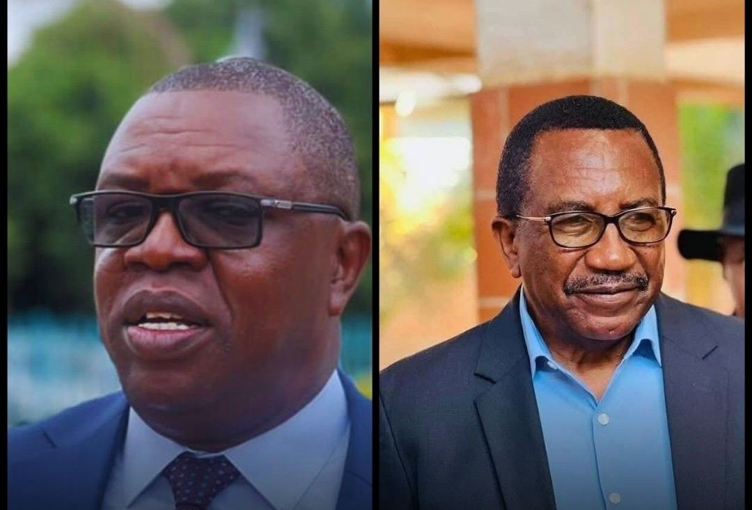 Zambia court hands jail terms to Malanji and ex-treasury chief