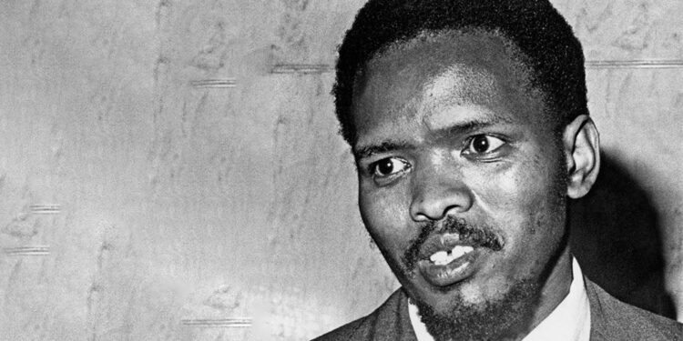 South Africa reopens inquest into 1977 death of Steve Biko