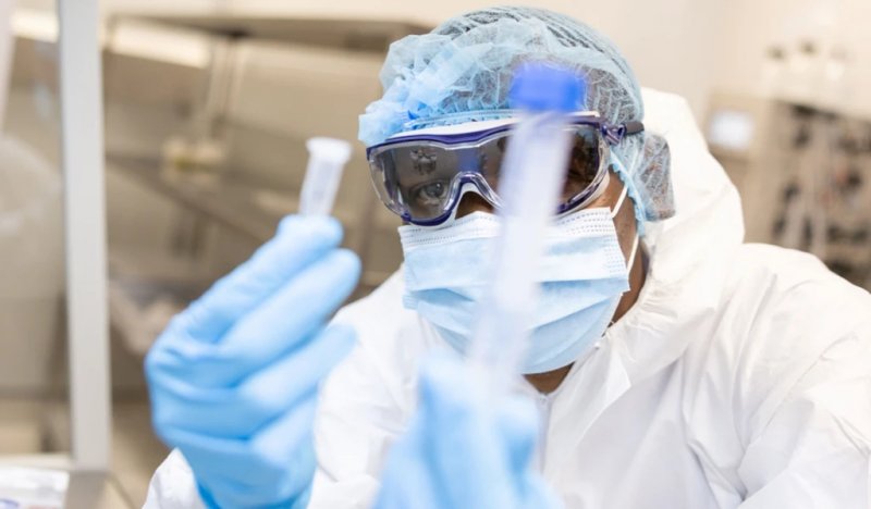 Rift Valley Fever kills 17 in Senegal in worst outbreak in decades