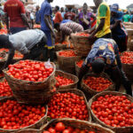 Nigeria’s growth steadies, but food inflation bites – World Bank