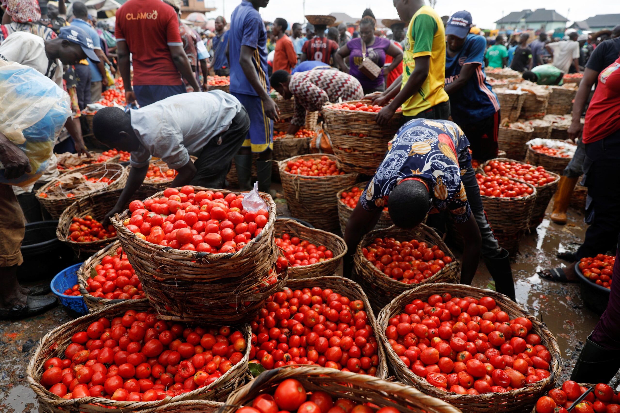 Nigeria’s growth steadies, but food inflation bites – World Bank