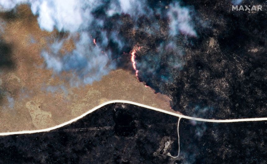 Authorities contain massive blaze that spread through Namibia park