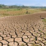 Malawi declares disaster as drought threatens millions with hunger