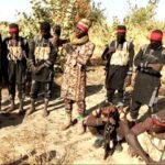 Nigerian army kills 19 bandits in Kano, repels ISWAP attack in Borno