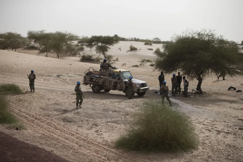 Mali strikes kill militants near central Segou