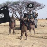 Nigerian forces kill 25 ISWAP fighters in Borno