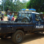 Central African Republic frees NGO consultant after espionage case