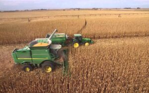 Maize harvest in South Africa set for slight increase in 2026
