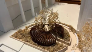 US university plans memorial for remains of African descent