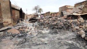 TASIS says 56 killed in SAF Darfur wedding drone strike