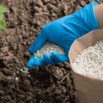 US pushes G20 to coordinate action on fertilizer amid war impact