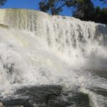 Tiny fish scale Congo waterfall in rare behavior caught on camera