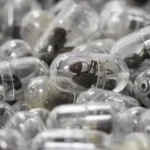 Kenyan court jails Chinese national in ant smuggling case