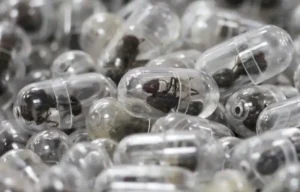 Kenyan court jails Chinese national in ant smuggling case