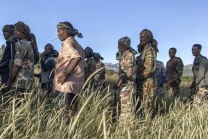 Ethiopia accuses Sudan of backing Tigray incursions