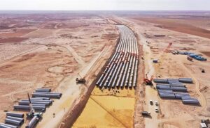 Egypt launches New Delta farm project to boost food security
