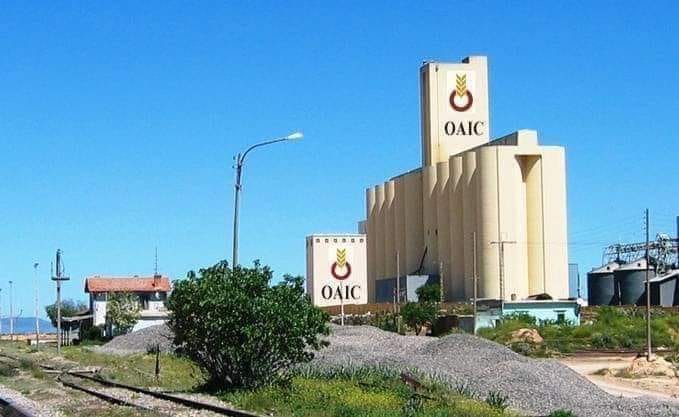 Algeria invites global bids for milling wheat under OAIC tender now