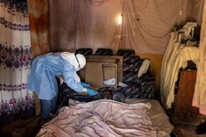Scientists trace DRC-Uganda Ebola outbreak to fresh wildlife spillover