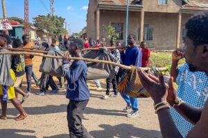 Suspected ADF rebels kill 16 civilians in eastern Congo
