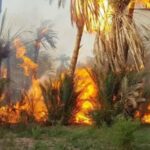 Morocco battles wildfire in Errachidia oasis amid extreme heat