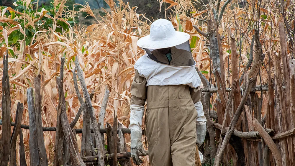 Ethiopian transforms traditional honey craft into modern firm