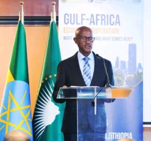 Africa, Gulf leaders launch historic economic partnership blueprint