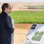 Egypt formalises sweeping powers of military-linked economic body