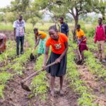 Uganda urges faster transfer of farm innovations to boost growth