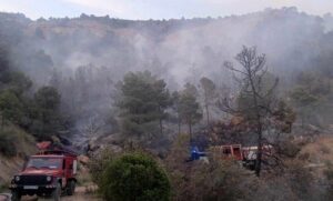 Algeria battles 19 wildfires as power restored after major blackout